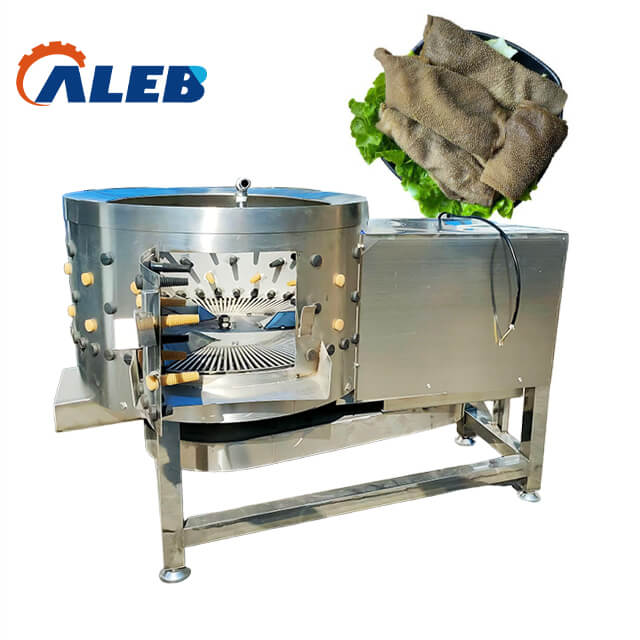 Tripe Washing Machine