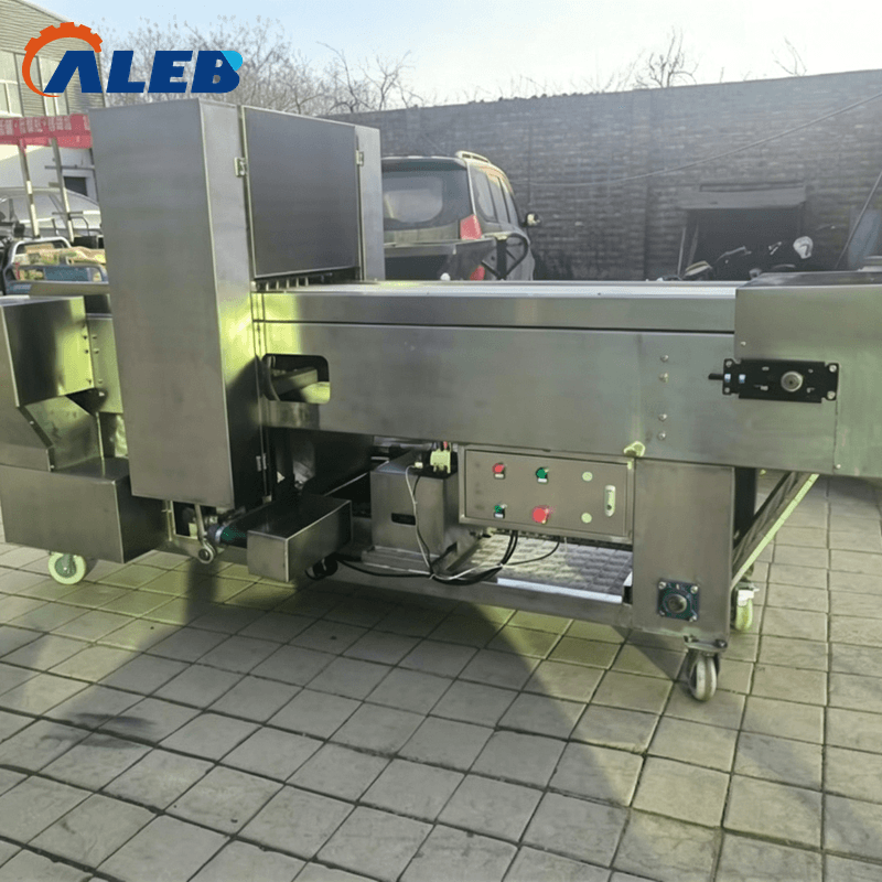 roselle core removing machine1 (1)