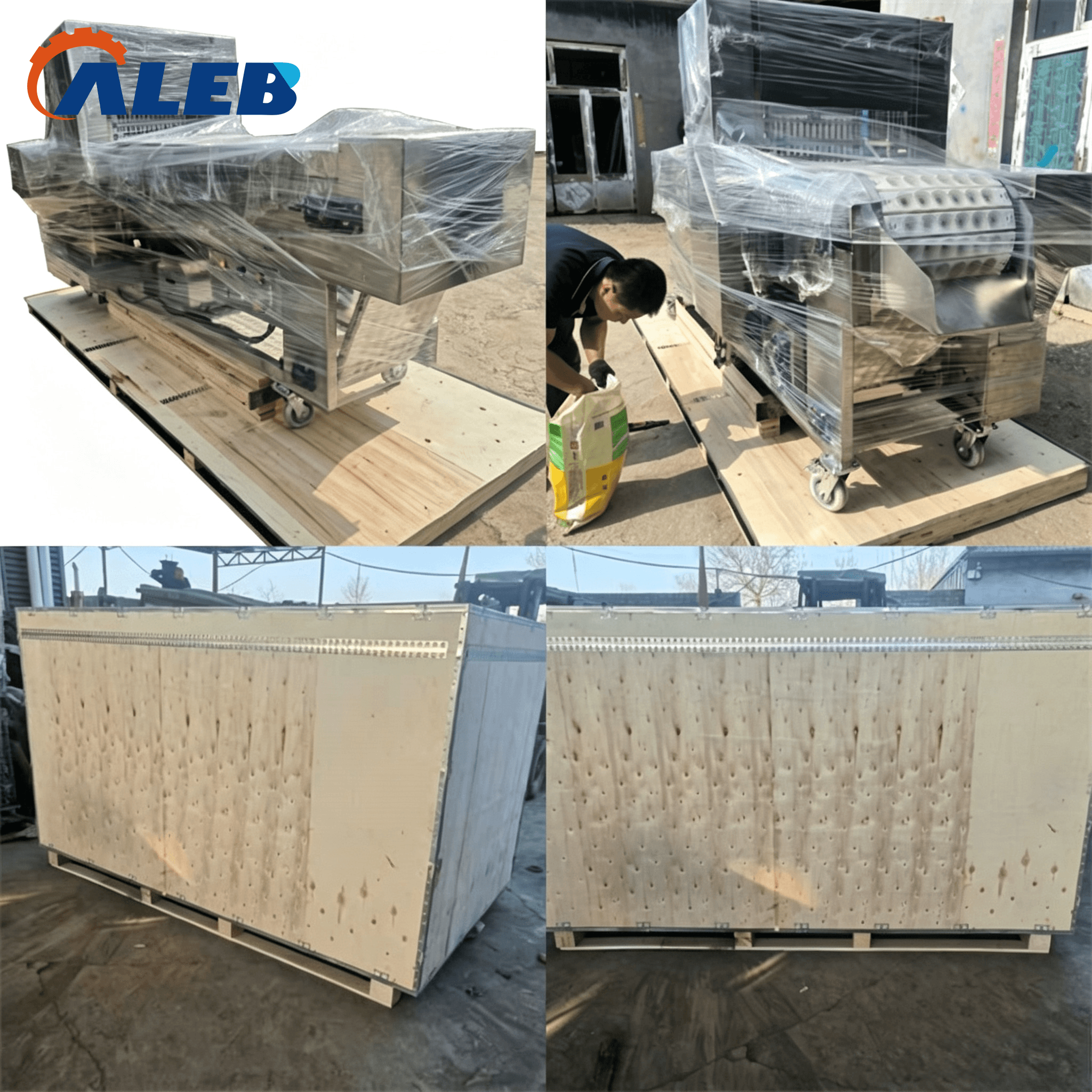 roselle core removing machine1 (3)