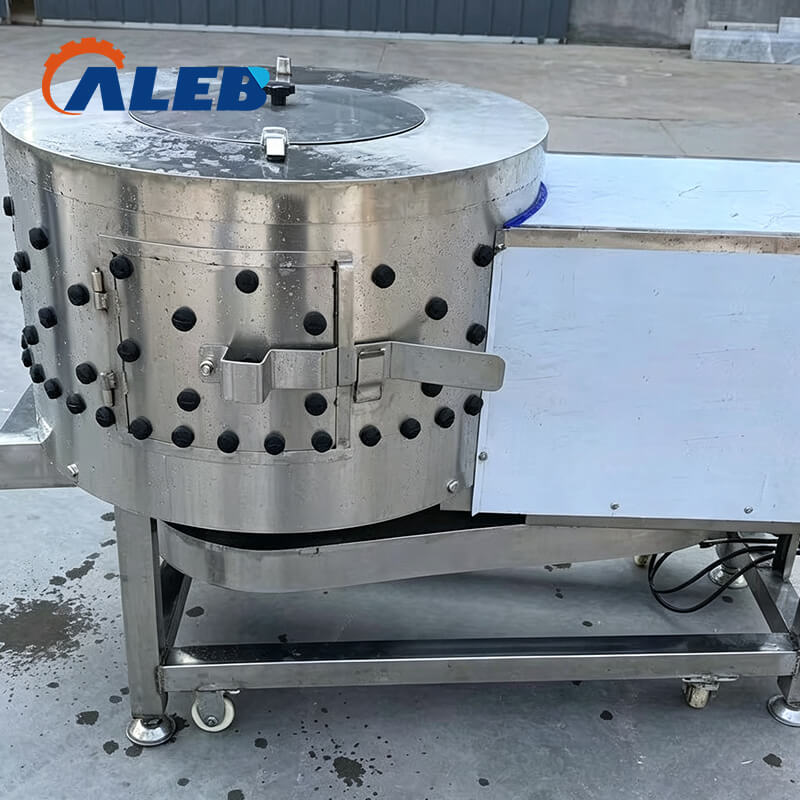 tripe washer_1