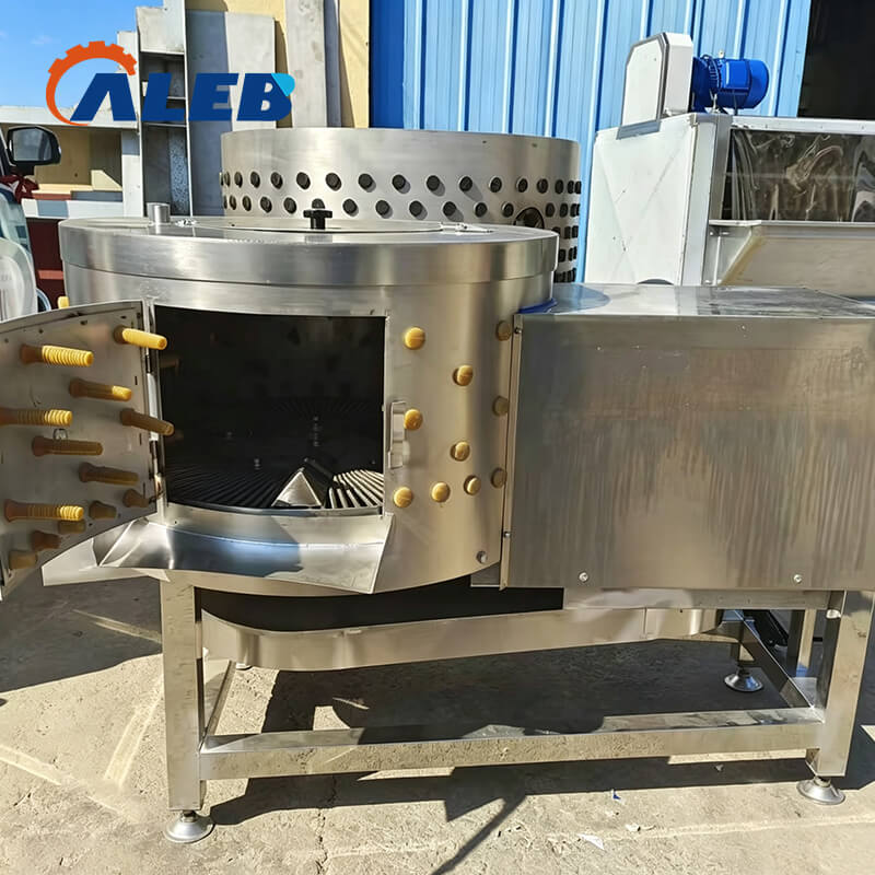 tripe washer_2